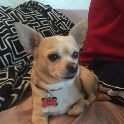 cundiff_pam Profile Picture