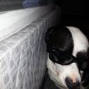 Kaleb Potts - @thereal_ichbin - Twitter