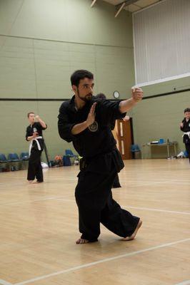 Instructor of Hung Kuen Shaolin Kung Fu, work with mass spectrometry and ion mobility, runner and climber.