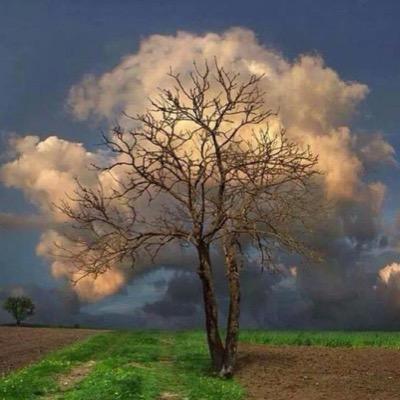 waleed_bintalib's profile picture. 