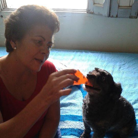 Sou Pet Sitter