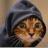 prettycat0228