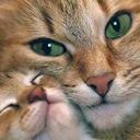 KAYLA Jimenez - @a43f6540ed994c6 - Twitter