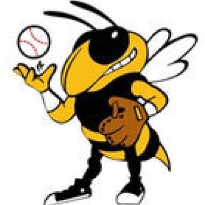 The Official Twitter for the Haynes Academy Lady Jacket Softball Team