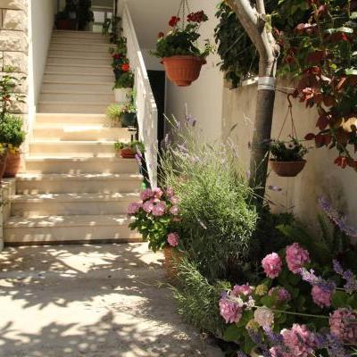 apartmanileona's profile picture. 