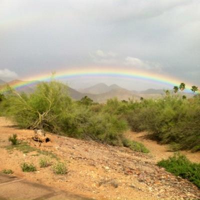 CKiviko's profile picture. 