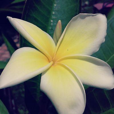 0292841's profile picture. 