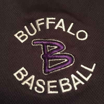 BHS Baseball Profile