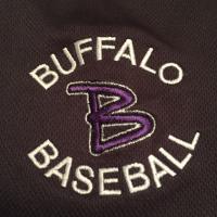 BHS Baseball (@bisonhsbaseball) 's Twitter Profile