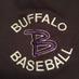 BHS Baseball (@bisonhsbaseball) Twitter profile photo BHS Baseball (@bisonhsbaseball) Twitter profile photo