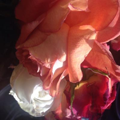 FullStopPR's profile picture. 