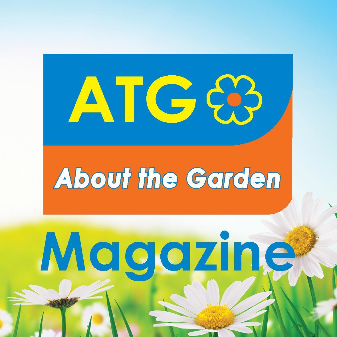 AbouttheGarden's profile picture. Follow us Summer, Autumn, Winter & Spring as we provide practical gardening advice that fits every lifestyle. Seasonal Flower Guides http://t.co/S6CUOLGWKl