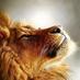 Stow Lions Club (@stowlionsclub) Twitter profile photo Stow Lions Club (@stowlionsclub) Twitter profile photo