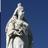 AusVicStudAssoc's profile image