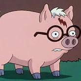 peteraragaozin's profile picture. Sou porco-aranha de dia, e harry-porco de noite.