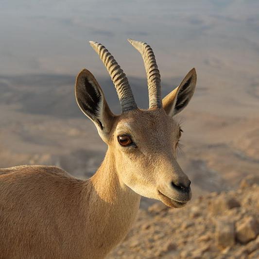 Victor19i's profile picture. 