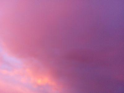 jimwang1219's profile picture. babe, Want to my strip? come on😘 Find me here- https://t.co/p2ZBI9sXjl