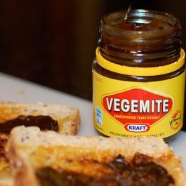 alritevegemite's profile picture. essendon // avs broncos nuggs // ferrari ducati ford // video games dogs & daylight savings // relapsing wow addict, help