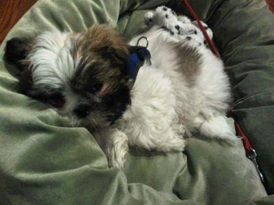 Will_Lee93's profile picture. 