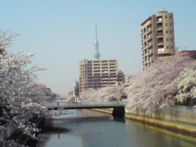 osarunojin's profile picture. 心機一転でこれからは、[タクシーあるある日誌]をつぶやきます。現在、癌と戦いながら、タクシードライバーをしています。意味無く気まぐれにつぶやきます。好きなもの:ビール・芋焼酎、たまにバーボン。映画、犬、温泉、ハワイ、散歩、外車、ラーメン、笑い泣き、商店街、旅、家族。