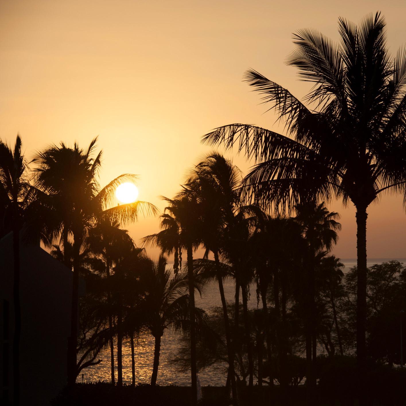 SelfishTraveler's profile picture. 