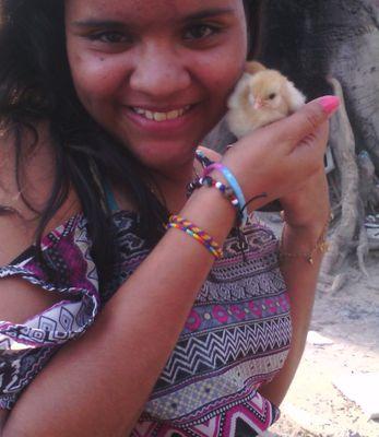 Te Amo