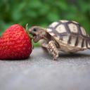 Eve Leblanc - @eveleblanc05 - Twitter