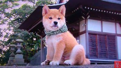 枝豆大好き