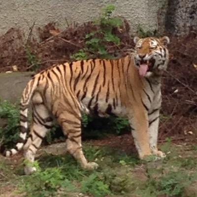 14totiji Profile Picture