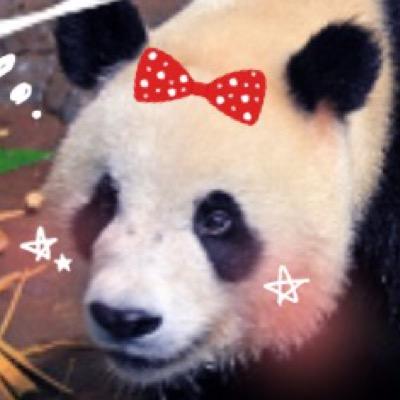 なでは垢お引越しします