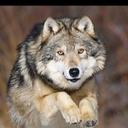 Abbey Shepard - @abbeyshepard111 - Twitter