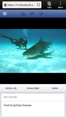 Trish Cochlan Profile