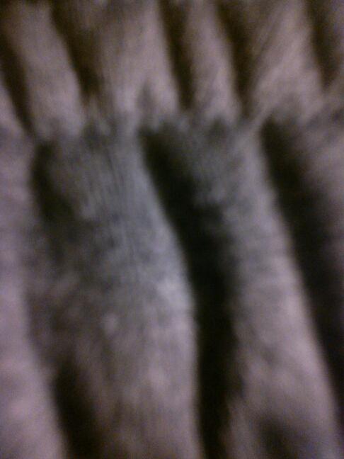 jazz_tracy's profile picture. 