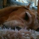 Anne Beamer - @BeamerAb - Twitter