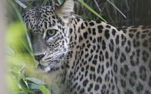 dragowebs's profile picture. 