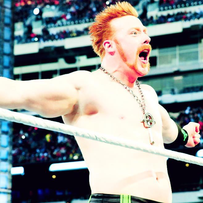 The Celtic Warrior, Sheamus. Brogue Kickin' yer favourite superstar for $9.99. Call 1-800-FELLA if yew have an emergency. {@WWESheamus' twin}