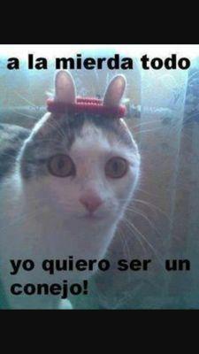 Lunares_Ole's profile picture. Mamá de 2. Yogurt (7) y Petit (3). Feliz, contenta, con sueño y sin tiempo.