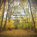 Pam Todd - @HaklPam - Twitter