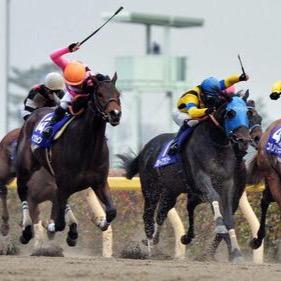 競馬、競輪、ボートレース、オートレースの実況をつぶやきます。