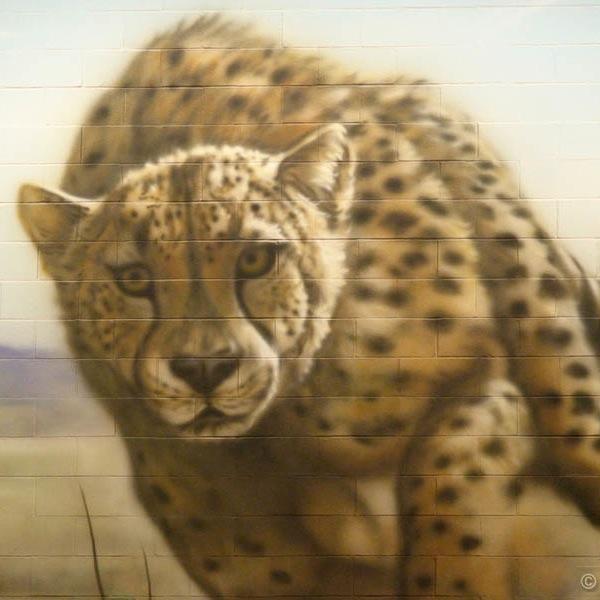 JC_Elementary's profile picture. Elementary school in #sd36learn sharing our learning and events happening around the school.