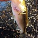 Bailey lawson - @bailey18lawson - Twitter