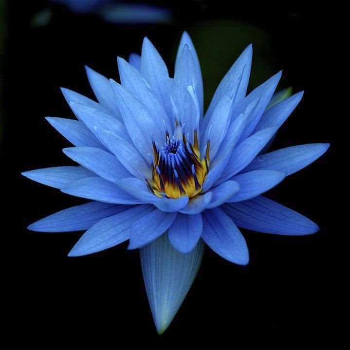 laughinglotus2's profile picture. We are a mobile clothing company traveling to markets, festivals and events in the  Okanagan!  Beautiful clothing and jewelry to enhance your life balance!