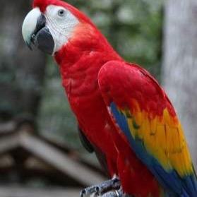 eunice2005's profile picture. creyente del amor, La Paz y patriota