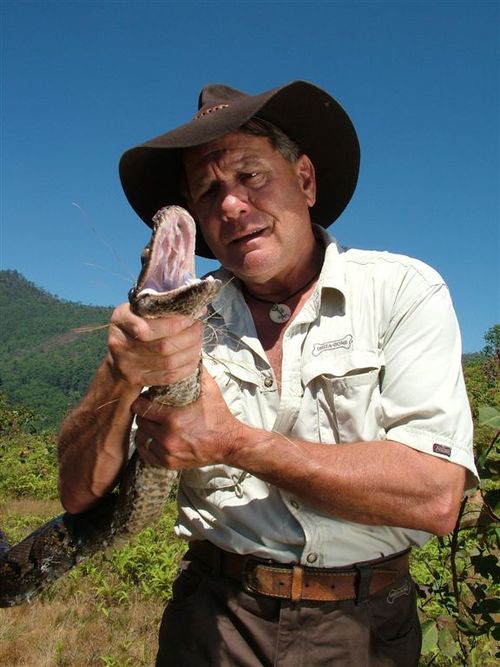 wildlifeman's profile picture. I am the Wildlife Man, my wildlife man films shown on Discovery Channel. I also run shark film expeditions, email me for details David Ireland  direland@idx.com
