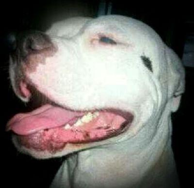 Eve420xo's profile picture. 