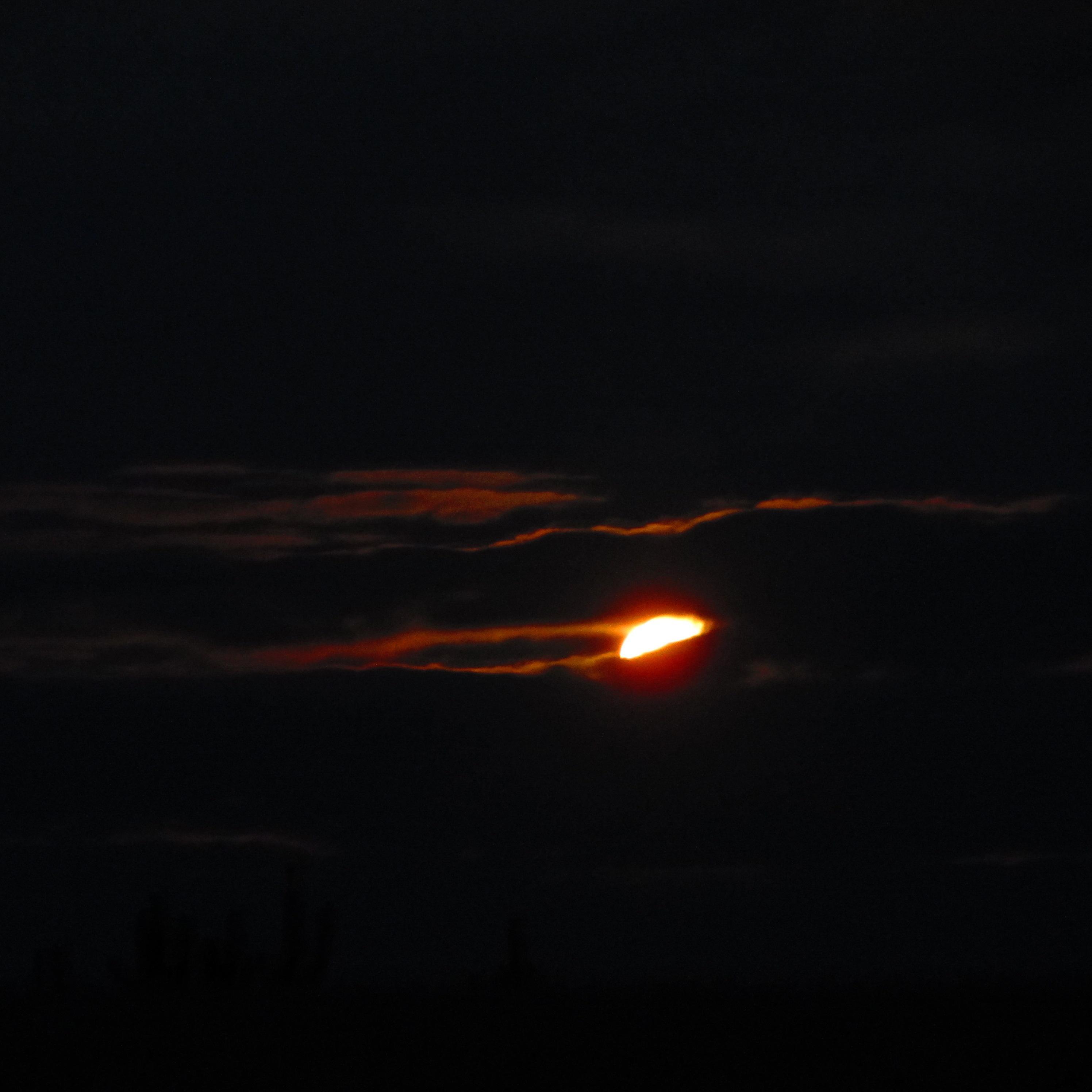 Just a small town girl...livin' in a lonely world... I'll took the midnight train goin' anywhere..eventually :D