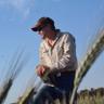 TyTekAg's profile picture. Precision Agronomist - Broadacre - Eastern Central Wheatbelt Western Australia
