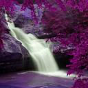 ruth haney - @ruth_haney - Twitter