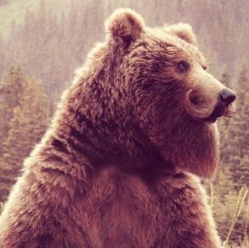 VinceSmeraldo's profile picture. 