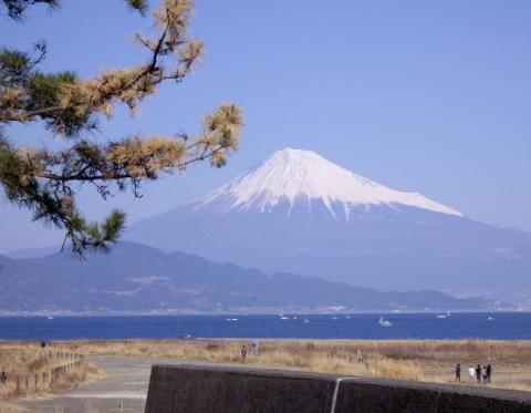 ブレフロのためだけに作った垢です！まだまだ雑魚ですが宜しくお願いします！フォローもよろしく！                                                                   【ＩＤ:92308754】